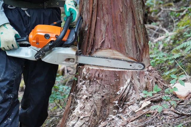 樹木の伐採・伐根