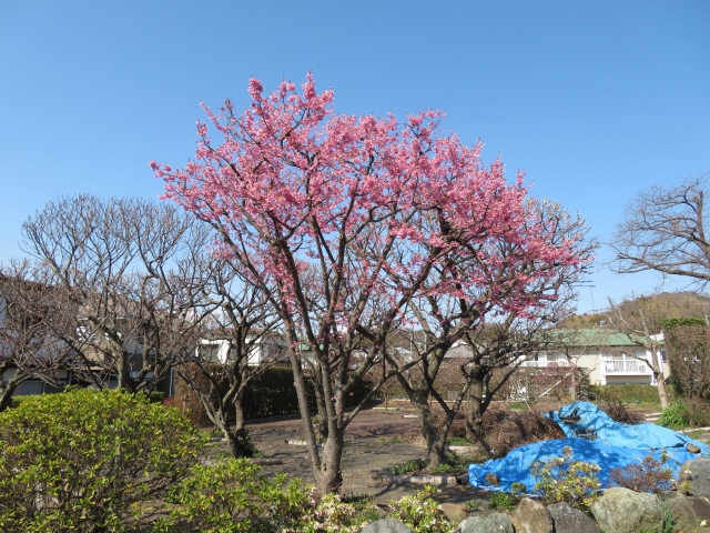 現地調査・打ち合わせ