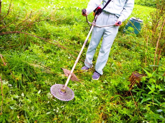 草刈り・除草